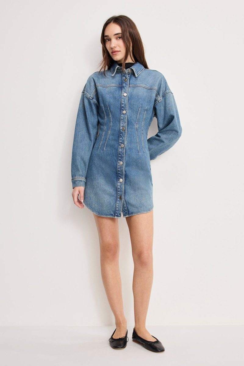 SHAPED DENIM DRESS